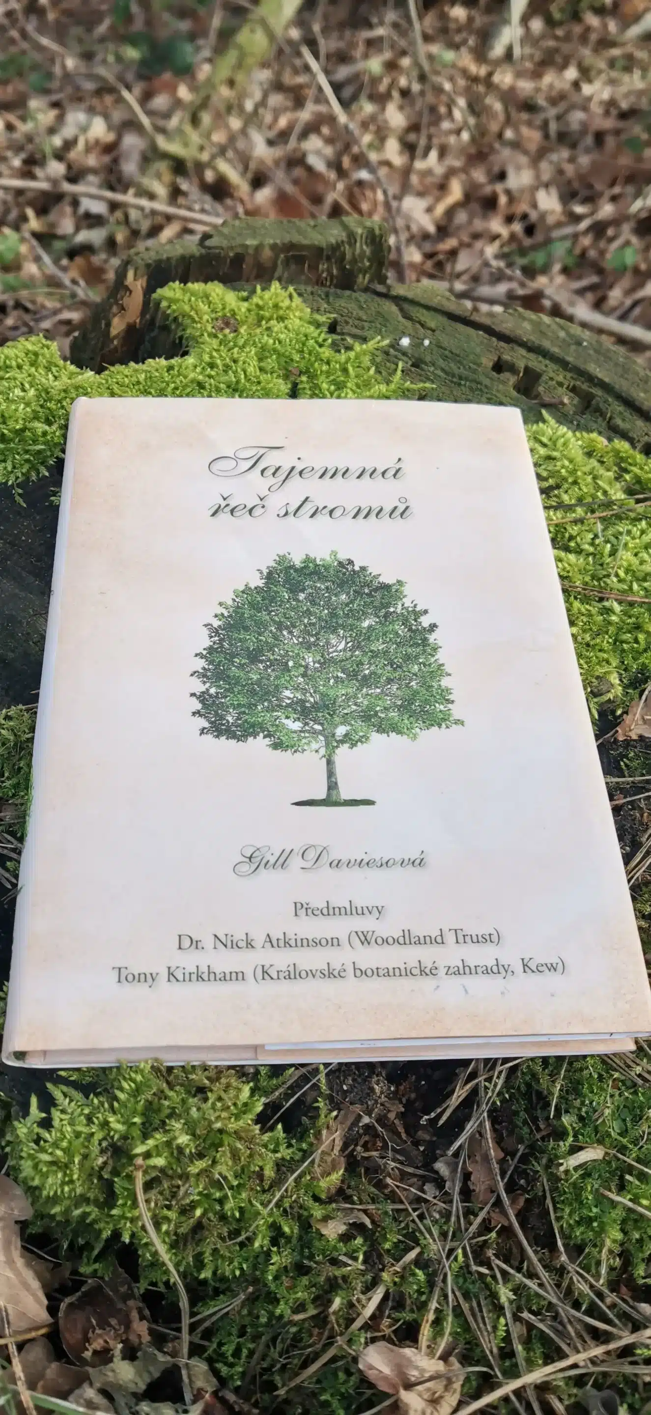 Tajemná-řeč-stromů4