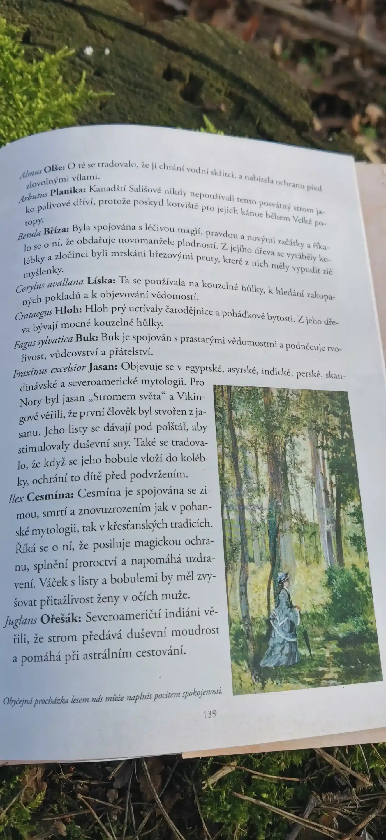 Tajemná-řeč-stromů2