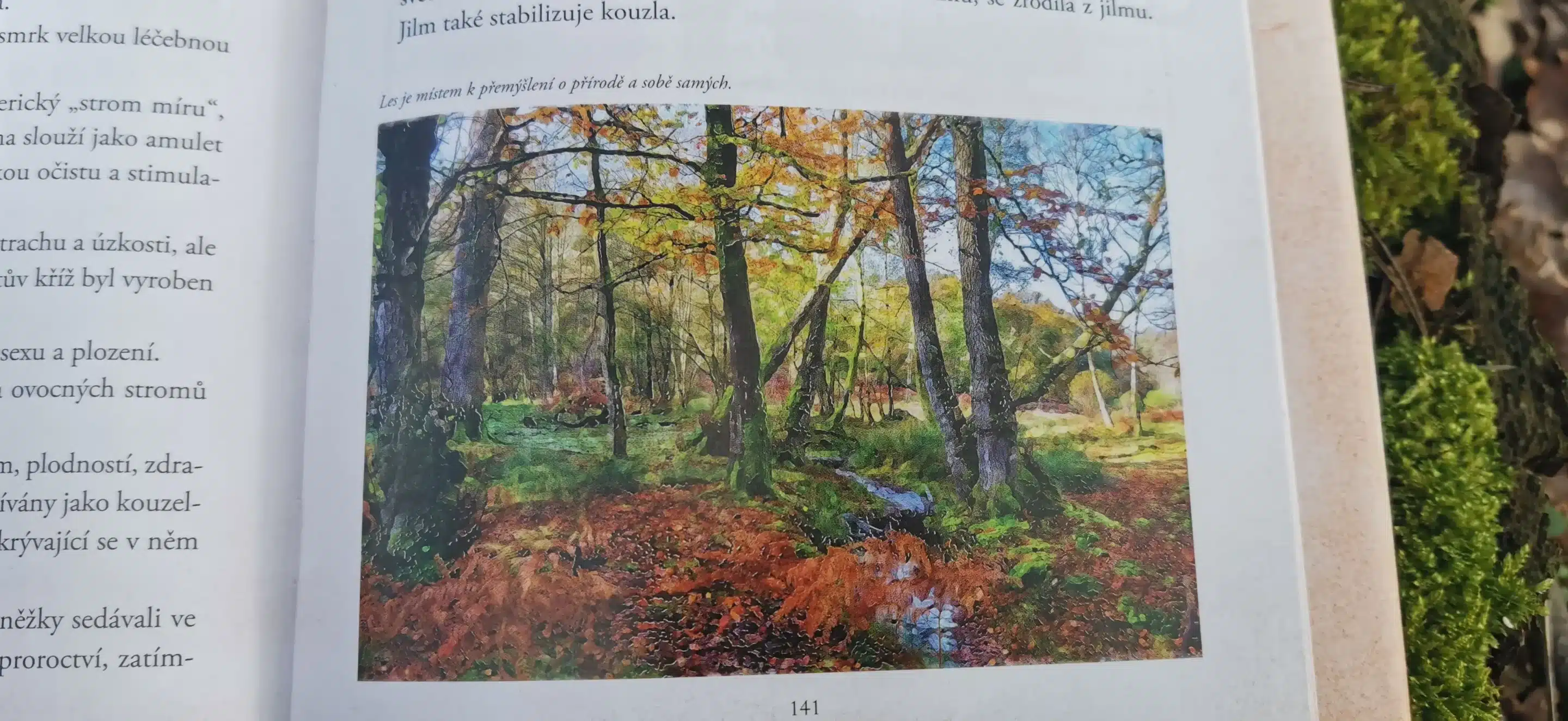 Tajemná-řeč-stromů3